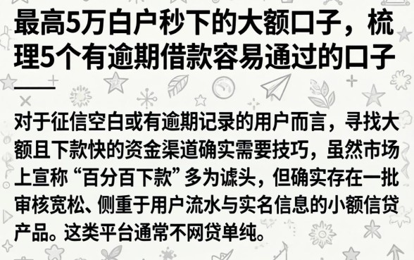 最高5万白户秒下的大额口子，梳理5个有逾期借款容易通过的口子
