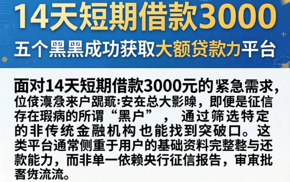 14天短期借款3000，详细阐述五个黑户成功获取大额贷款的平台