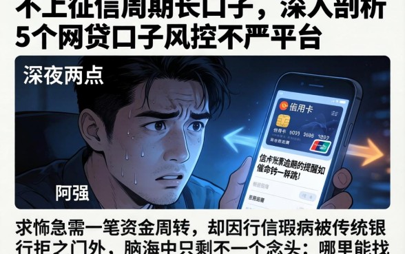 不上征信周期长口子，深入剖析5个网贷口子风控不严的平台