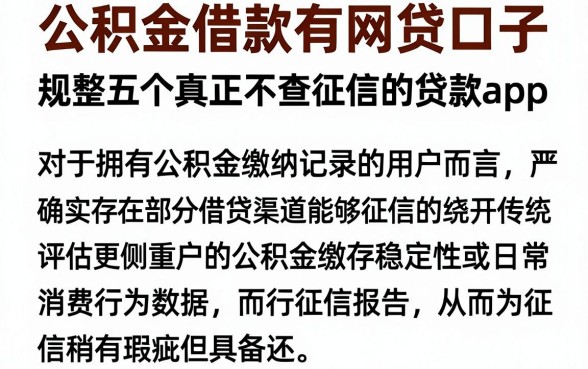 公积金借款有网贷口子,规整五个真正不查征信的贷款app