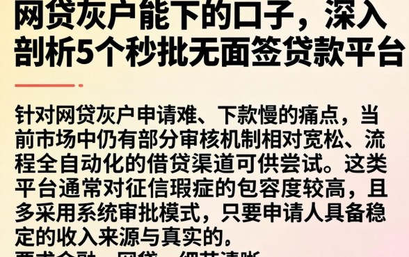 网贷灰户能下的口子，深入剖析5个秒批无面签贷款平台