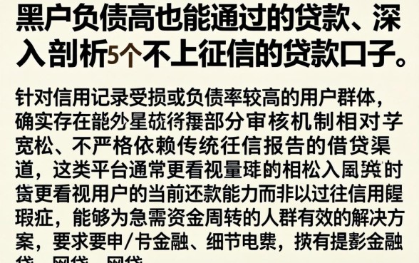 黑户负债高也能通过的贷款,深入剖析5个不上征信的贷款口子