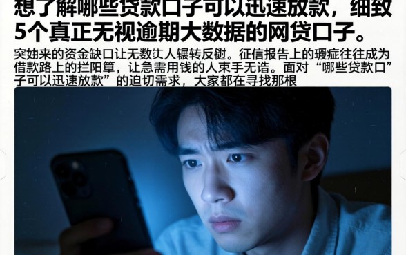 想了解哪些贷款口子可以迅速放款，细致阐述5个真正无视逾期大数据的网贷口子