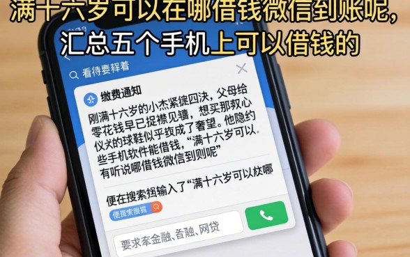满十六岁可以在哪借钱微信到账呢，汇总五个手机上可以借钱的软件