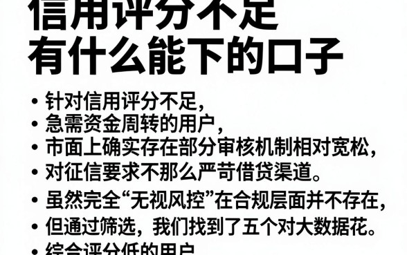 信用评分不足有什么能下的口子，筛选五个真正无视风控黑白的网贷app