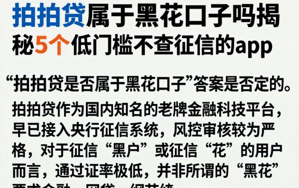 拍拍贷属于黑花口子吗，揭秘5个低门槛不查征信的app