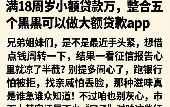 满18周岁小额贷款万,整合五个黑户可以做大额贷款app