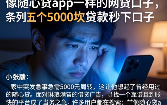 像随心贷app一样的网贷口子，条列五个5000块贷款秒下口子