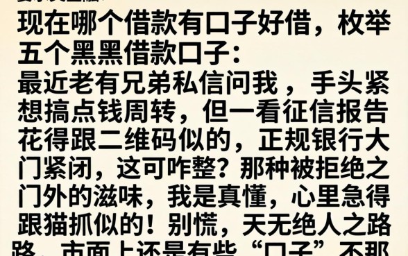 现在哪个借款有口子好借，枚举五个黑户借款口子