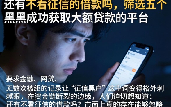 还有不看征信的借款吗，筛选五个黑户成功获取大额贷款的平台