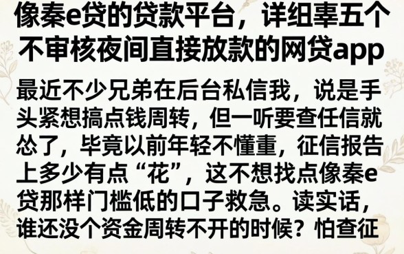 像秦e贷的贷款平台,详尽说明五个不审核夜间直接放款的网贷app