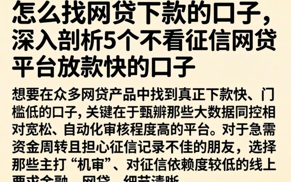 怎么找网贷下款的口子，深入剖析5个不看征信网贷平台放款快的口子