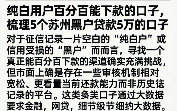 纯白用户百分百能下款的口子,梳理5个苏州黑户贷款5万的口子