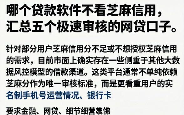 哪个贷款软件不看芝麻信用，汇总五个极速审核的网贷口子