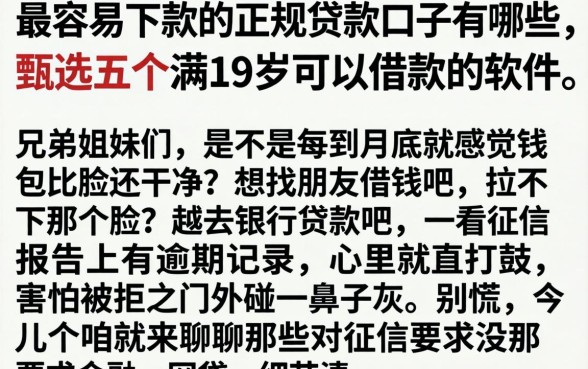 最容易下款的正规贷款口子有哪些，甄选五个满19岁可以借款的软件