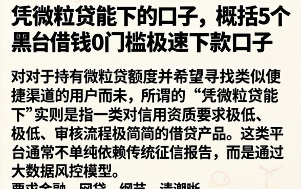 凭微粒贷能下的口子，概括5个黑户借钱0门槛极速下款口子