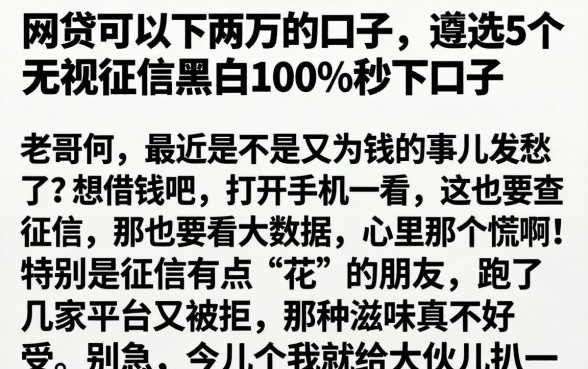 网贷可以下两万的口子，遴选5个无视征信黑白100%秒下口子