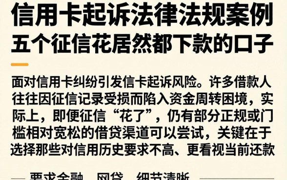信用卡起诉法律法规案例，条列五个征信花居然都下款的口子