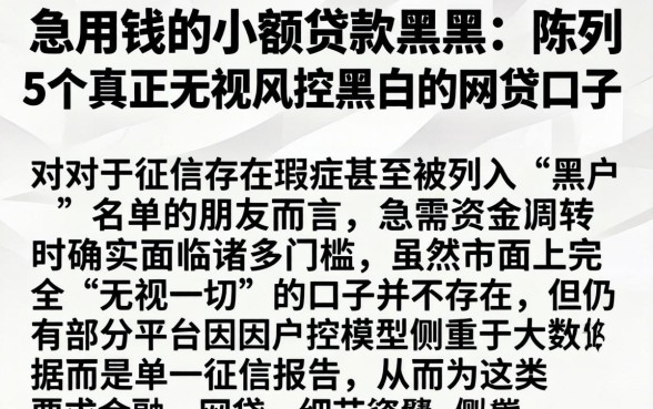 急用钱的小额贷款黑户，陈列5个真正无视风控黑白的网贷口子