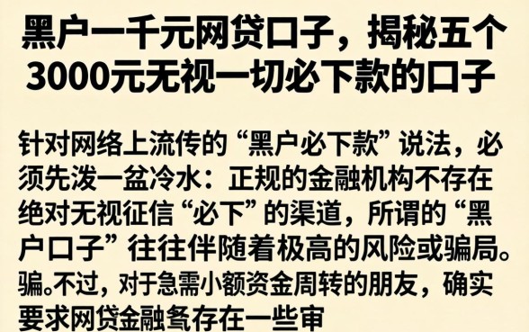 黑户一千元网贷口子，揭秘五个3000元无视一切必下款的口子