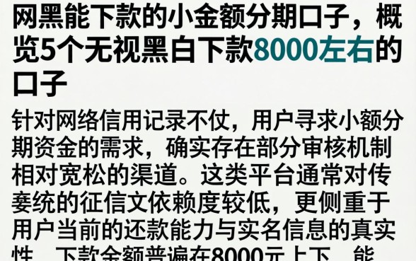 网黑能下款的小额分期口子,概览5个无视黑白下款8000左右的口子