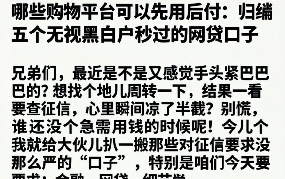 哪些购物平台可以先用后付，归纳五个无视黑白户秒过的网贷口子