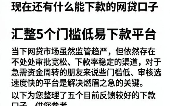 现在还有什么能下款的网贷口子，汇整5个门槛低易下款平台