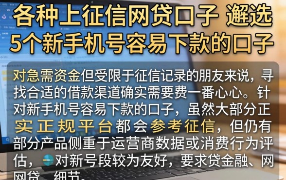 各种上征信的网贷口子，遴选5个新手机号容易下款的口子