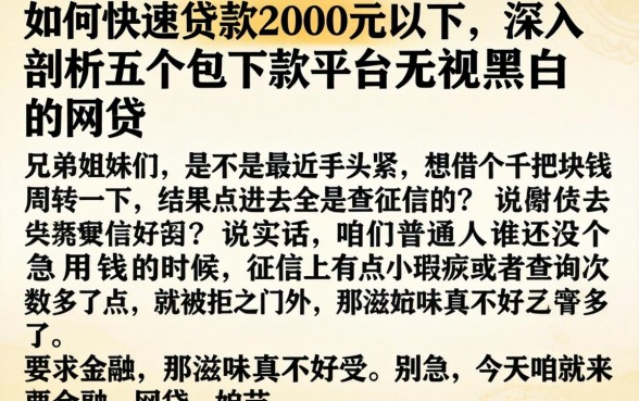 如何快速贷款2000元以下,深入剖析五个包下款平台无视黑白的网贷