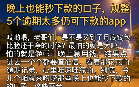 晚上也能秒下款的口子，规整5个逾期太多仍可下款的app