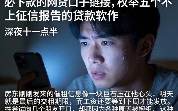 必下款的网贷口子链接,枚举五个不上征信报告的贷款软件
