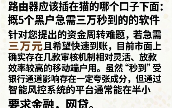 路由器应该插在猫的哪个口子下面，概括5个黑户急需三万秒到的的软件