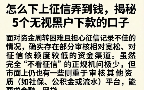 怎么不上征信弄到钱，揭秘5个无视黑户下款的口子