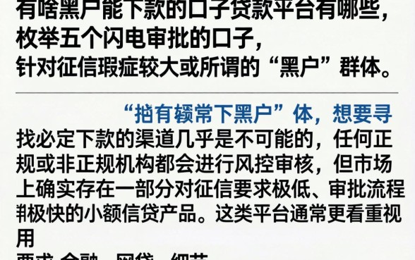 有啥黑户能下款的口子贷款平台有哪些，枚举五个闪电审批的口子