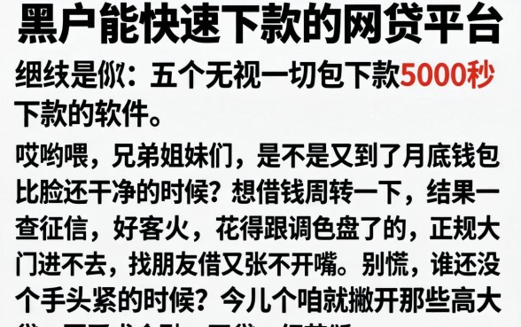 黑户能快速下款的网贷平台，细致阐述五个无视一切包下款5000秒下款的软件