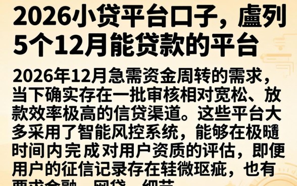 2026小贷平台口子,胪列5个12月能贷款的平台