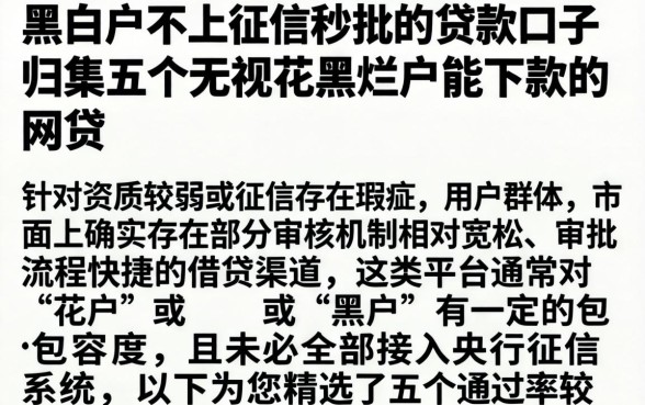 黑白户不上征信秒批的贷款口子,归集五个无视花黑烂户能下款的网贷