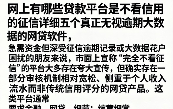 网上有哪些贷款平台是不看信用的征信，详细阐述五个真正无视逾期大数据的网贷软件
