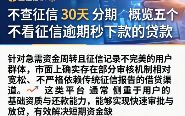 不查征信 30天 分期,概览五个不看征信逾期秒下款的贷款