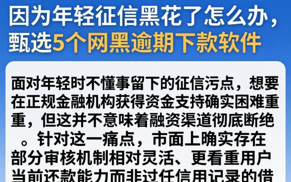 因为年轻征信黑花了怎么办，甄选5个网黑逾期下款软件