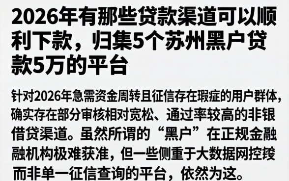 2026年有哪些贷款渠道可以顺利下款，归集5个苏州黑户贷款5万的平台