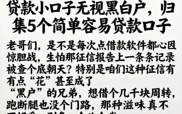 贷款小口子无视黑白户，归集5个简单容易贷款口子