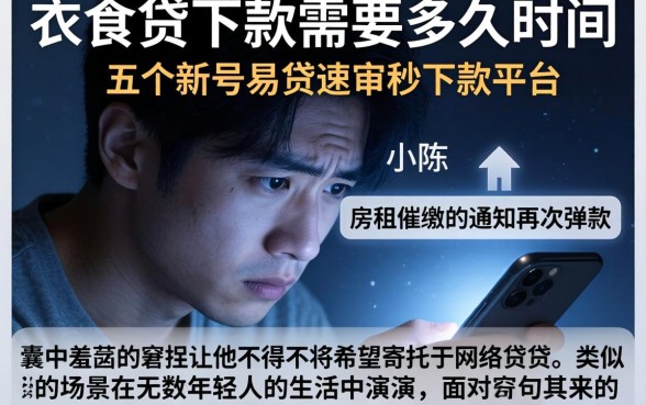 衣食贷下款需要多久时间，概括五个新号易贷速审秒下款平台