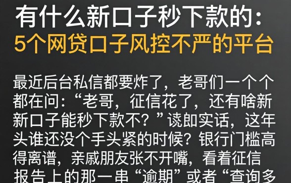 有什么新口子秒下款的，概括5个网贷口子风控不严的平台