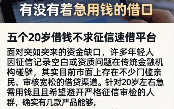 有没有着急用钱的借口，详细阐述五个20岁借钱不求征信速借平台