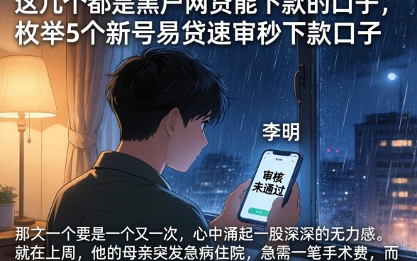 这几个都是黑户网贷能下款的口子，枚举5个新号易贷速审秒下款口子
