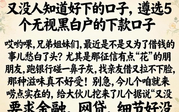 又没人知道好下的口子，遴选5个无视黑白户的下款口子