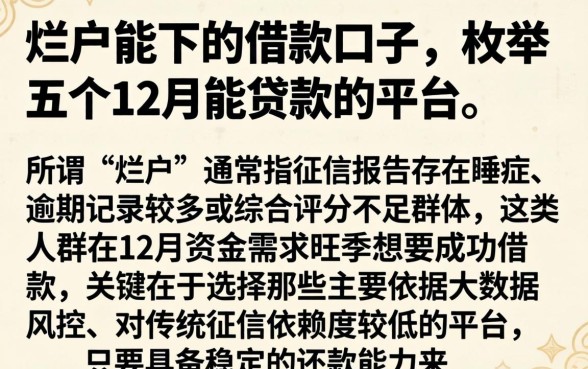 烂户能下的借款口子，枚举五个12月能贷款的平台