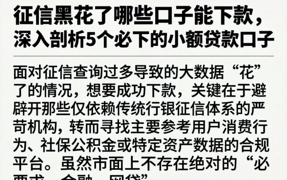 征信黑花了哪些口子能下款，深入剖析5个必下的小额贷款口子
