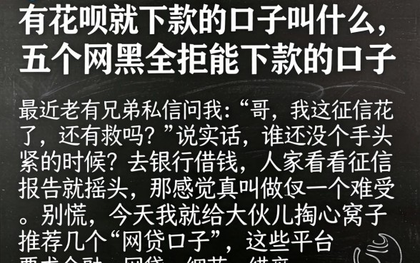 有花呗就下款的口子叫什么,概括五个网黑全拒能下款的口子